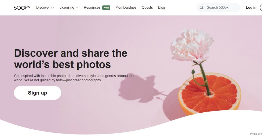 15 Páginas para vender tus fotos y ganar dinero con tu arte